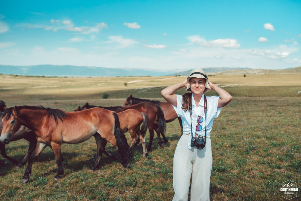 The wild horses of Krug / Kruzi Plateau, a majestic sight!